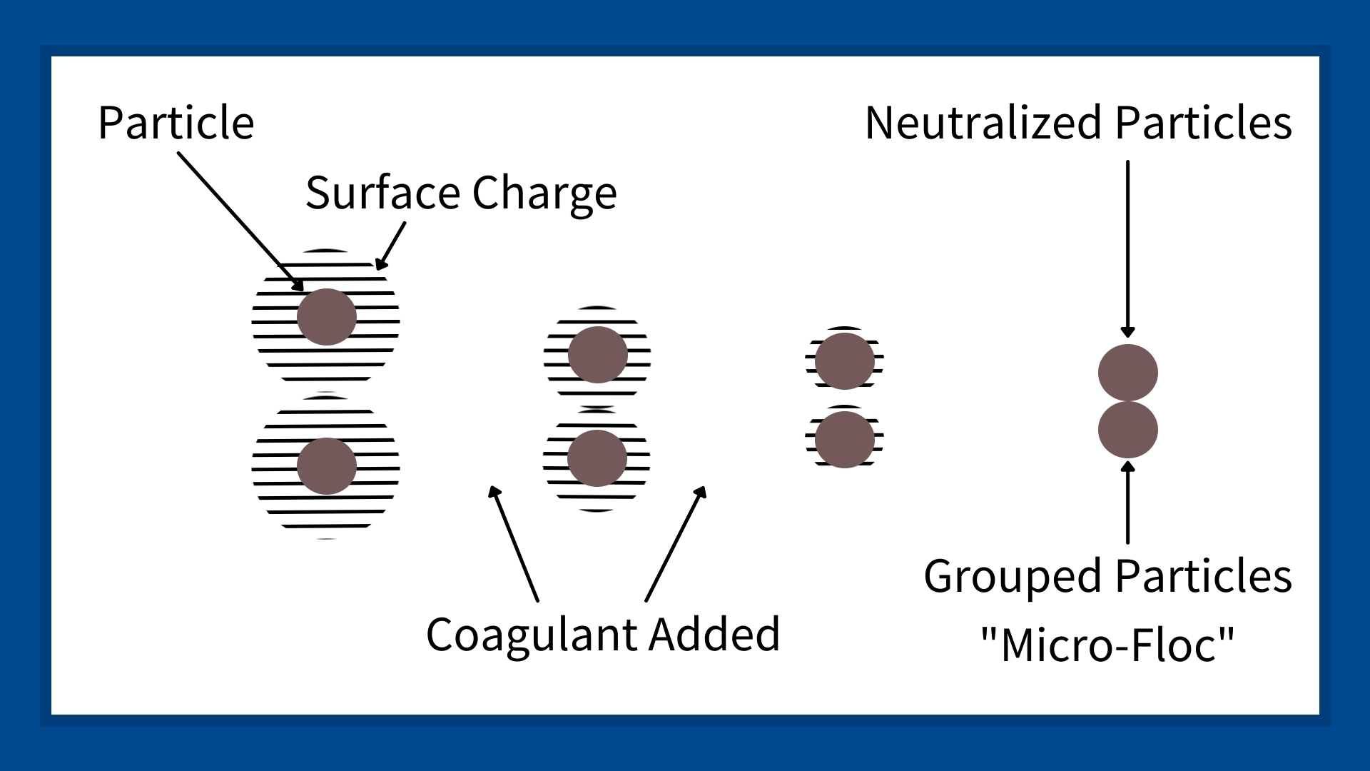 This image shows negatively charged liquid-suspended particles being neutralized with a coagulant. It shows how the particles slowly lose their negative charge and come together to form a larger particle.